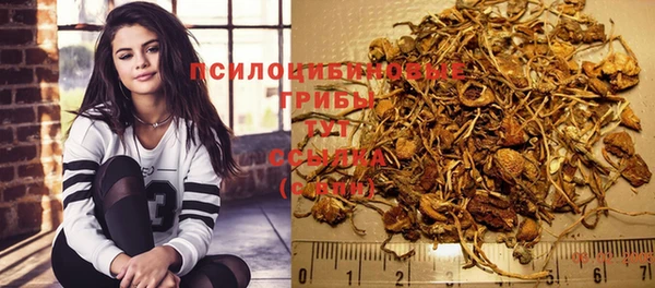 ПСИЛОЦИБИНОВЫЕ ГРИБЫ Бугульма