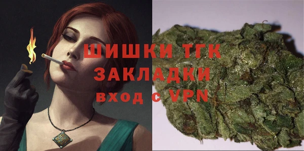тгк Верея
