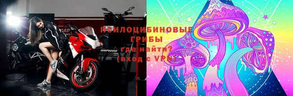 тгк Верея