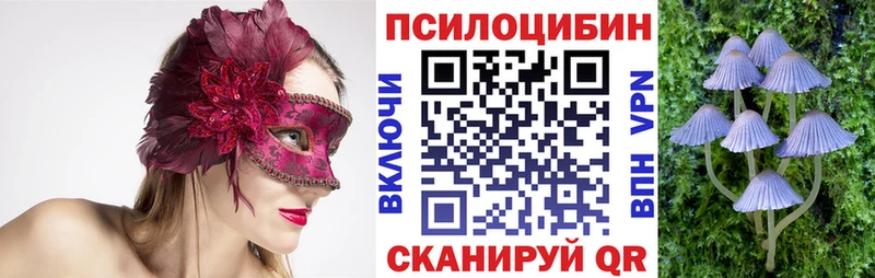 Галлюциногенные грибы ЛСД  Трубчевск 